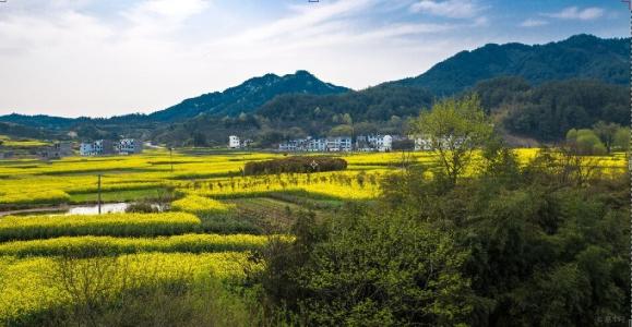 手機信號增強|跟弱信號說拜拜，用這個方法實現網絡信號100%