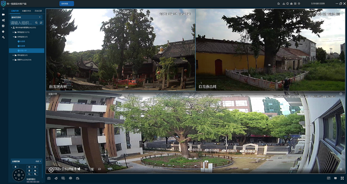 千歲古樹配“護衛(wèi)”，5G科技進步全天監(jiān)控